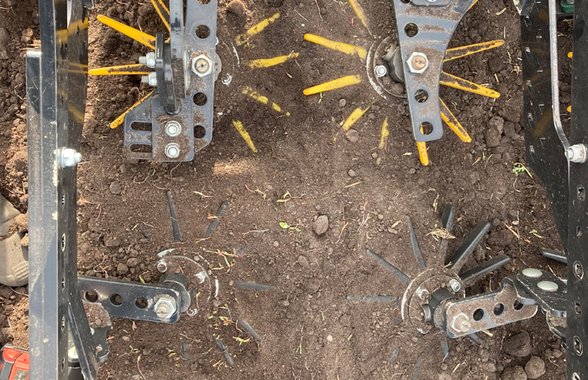 MSR Opti Weeder